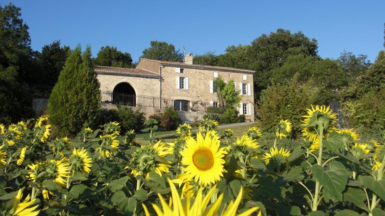 Chambres d'Hotes Domaine de la Capelle Saint-Martin-Lalande Extérieur photo